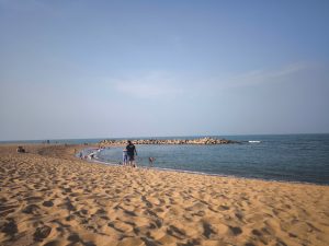 Quản lý tài chính gia đình!