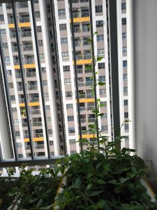 Quản lý tài chính gia đình!