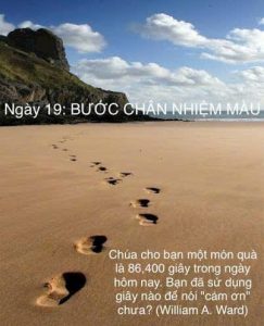 Bước Chân Nhiệm Màu
